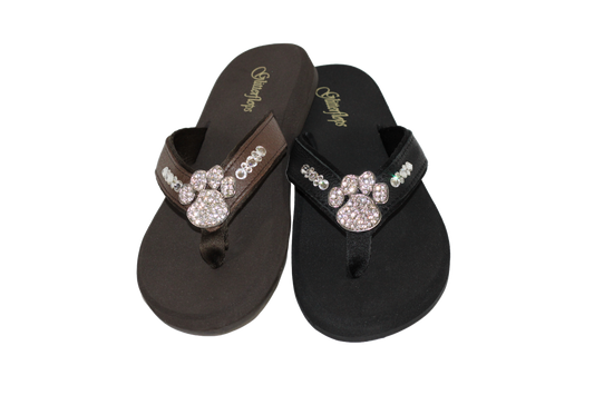 Paws image 0